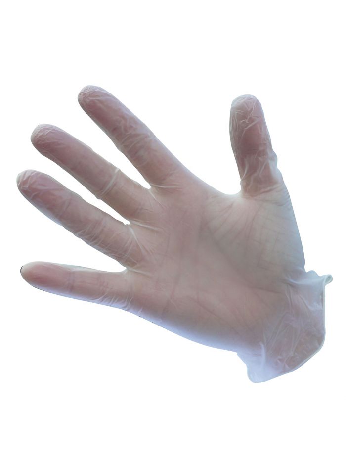 Powder Free Vinyl Disposable Glove (Pk100), L, R, Clear